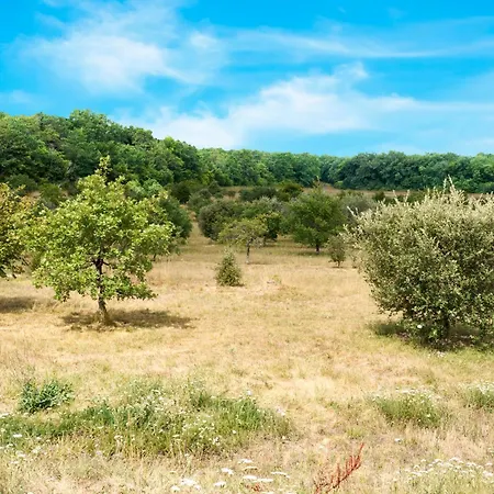 Guest house Domaine La Truffiere Des Merigots 3*