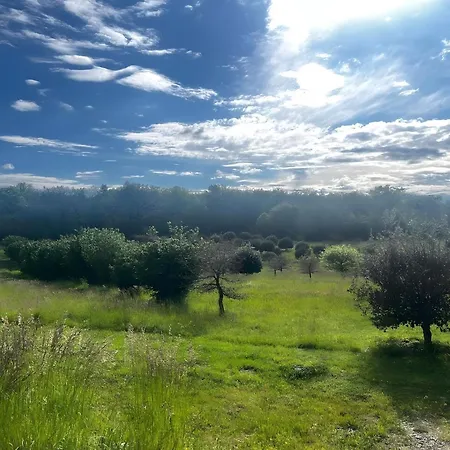 Domaine La Truffiere Des Merigots بيت ضيافة Gabillou