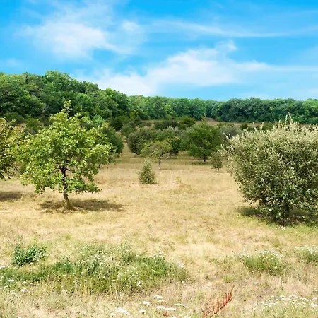 Domaine La Truffiere Des Merigots 3* Gabillou